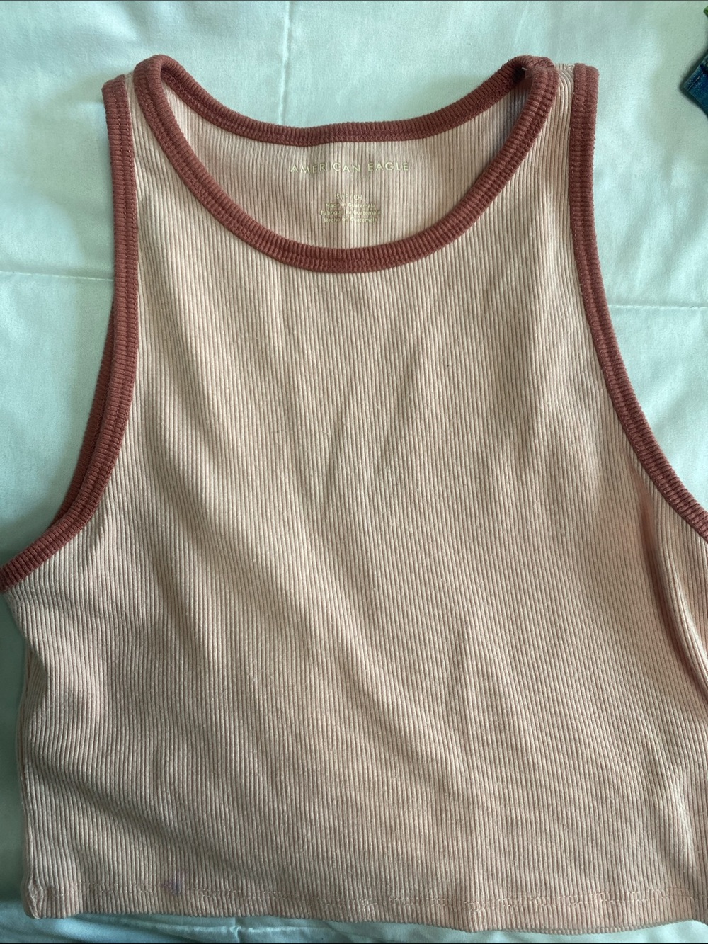 American Eagle Outfitters Blush Crop Tank with Rust Trim